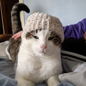 Meet your Posher, Margaret